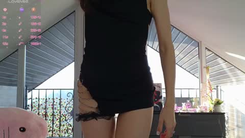  Wilma  online show from 01-27-25, 01:19