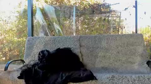 private on 18 per minute start private 500 tokensOnlyfans  online show from 10-29-25, 09:11