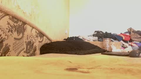Emily online show from 06-29-26, 10:15