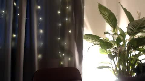 YourDalia online show from 11-13-25, 12:26