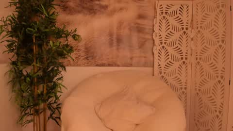 Snapshot of yourmidnightcoffee chatting on 01-28-25, 11:28 Sarah online show from 01-28-25, 11:28