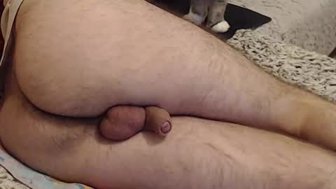 Snapshot of yowlo chatting on 09-22-25, 03:30 Yowlo online show from 09-22-25, 03:30