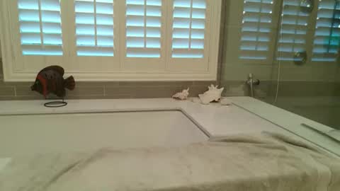 yttims online show from 02-01-26, 03:43