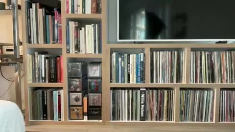 Snapshot of yumiandwolf chatting on 03-05-25, 11:16 yumiandwolf online show from 03-05-25, 11:16