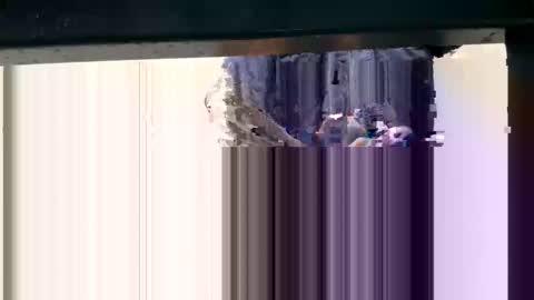 Snapshot of yungcockk444 chatting on 10-08-25, 11:57 hungggg online show from 10-08-25, 11:57