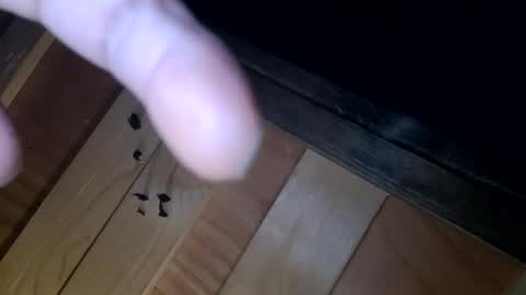 yungnhandsumdee online show from 10-13-25, 05:51