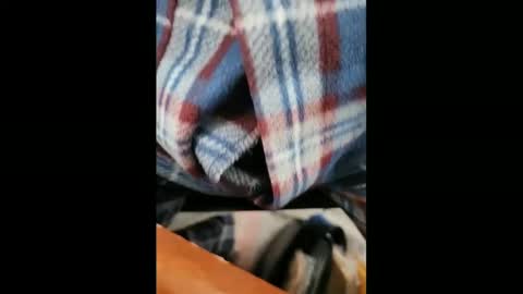 Snapshot of yuppers1234 chatting on 02-05-25, 06:37 yuppers1234 online show from 02-05-25, 06:37