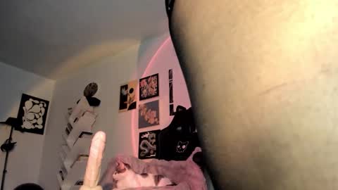 paola online show from 01-15-26, 09:18