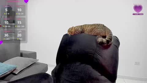 Snapshot of zafiralov chatting on 12-05-25, 02:20 zafiralov online show from 12-05-25, 02:20