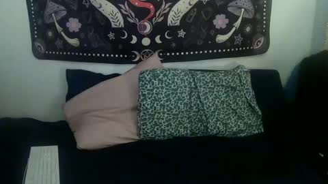 Zelda online show from 01-24-25, 01:24