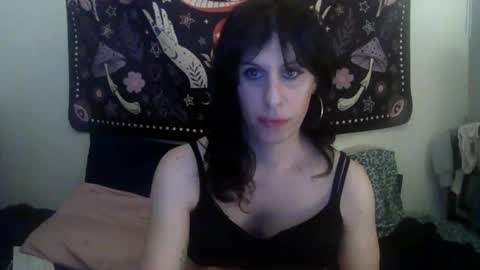 Zelda online show from 02-01-25, 11:27