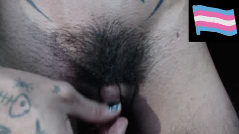 Zeldris online show from 12-14-24, 11:12