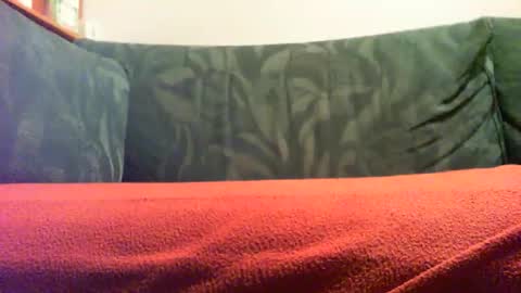 zevioo77 online show from 09-18-25, 08:11