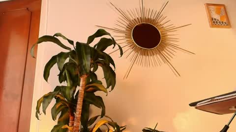 Zoe Baker online show from 07-14-26, 07:30