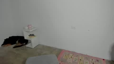 Zoe online show from 04-24-26, 09:17