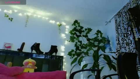 zoemi online show from 01-24-25, 01:45