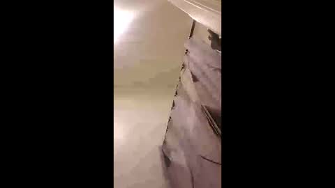 zooted12 online show from 02-24-26, 10:19