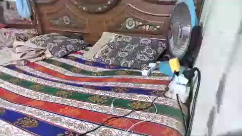 Snapshot of zoyakhan803 chatting on 02-12-26, 10:05 zoyakhan803 online show from 02-12-26, 10:05