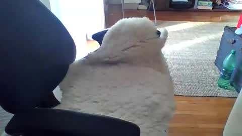 zyggy87 online show from 02-23-26, 06:55