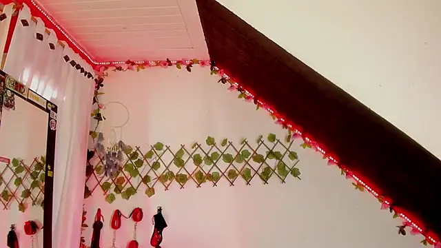 Cata green online show from 12-11-24, 07:46