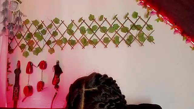 Cata green online show from 12-11-24, 10:49