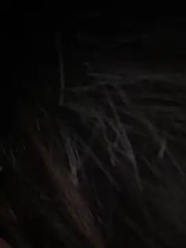 Serena-AU online show from 01-15-26, 03:27