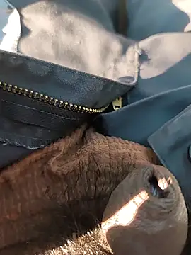 Nishu12356g online show from 09-20-25, 02:40