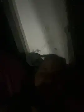 punhetaba online show from 02-24-26, 03:48