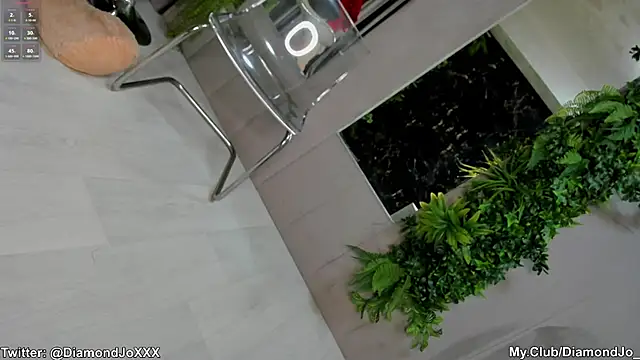 Snapshot of DiamondJo_ chatting on 02-07-25, 11:55 DiamondJo online show from 02-07-25, 11:55