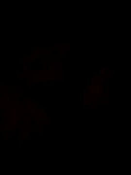 Sanny212 online show from 12-09-24, 12:40