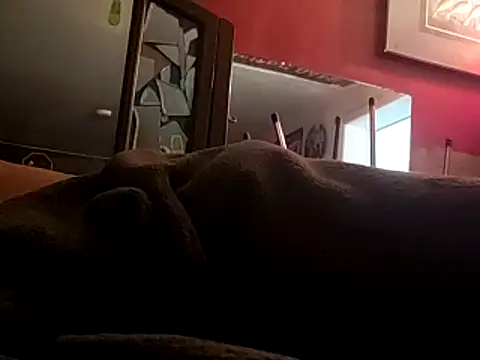 Snapshot of JRock69nKzoo chatting on 11-12-25, 11:54 JRock69nKzoo online show from 11-12-25, 11:54