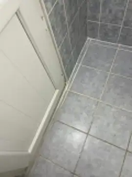 Aden P2 online show from 03-24-26, 01:32