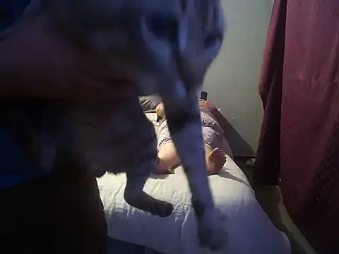 Snapshot of hothouse18xxx chatting on 12-30-24, 06:49 hothouse18xxx online show from 12-30-24, 06:49