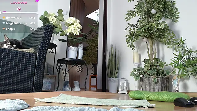 Snapshot of Squirtmania chatting on 01-01-25, 07:20 Squirtmania online show from 01-01-25, 07:20