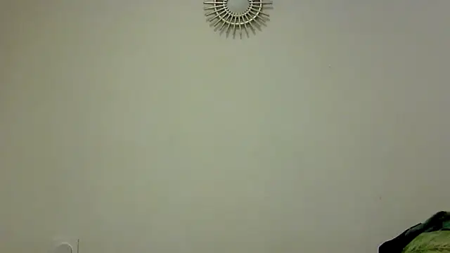 feline27 online show from 10-24-25, 08:49