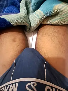 ANIMEL 2 online show from 10-10-25, 04:22