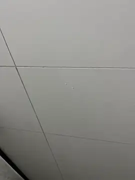 Snapshot of Tintola chatting on 02-23-26, 12:30 Tintola online show from 02-23-26, 12:30