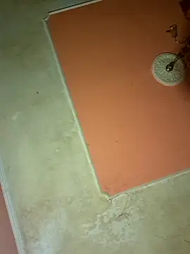 ducicsajsziii online show from 03-17-25, 10:38