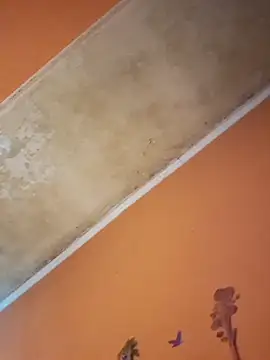 ducicsajsziii online show from 12-19-25, 12:45