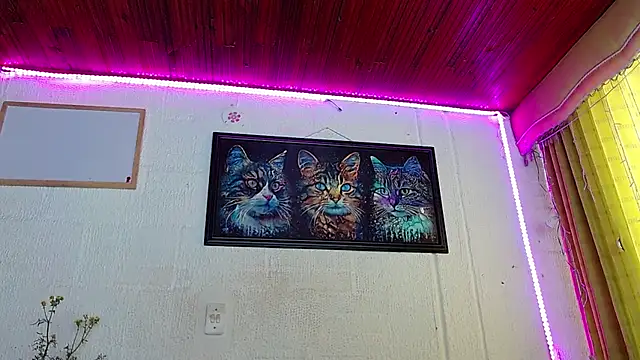 Niky 777 online show from 02-05-25, 04:25