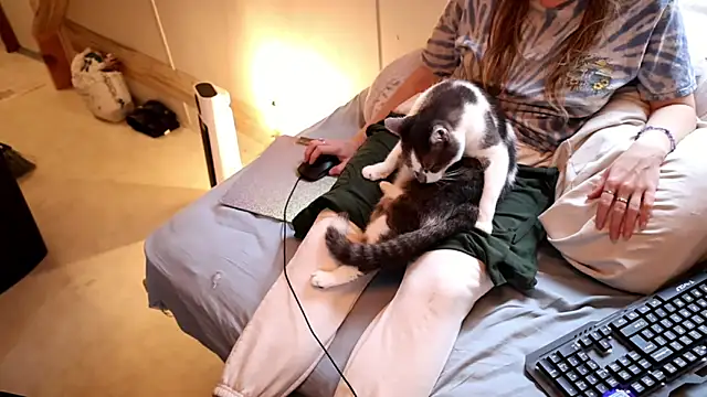 Snapshot of xxpixeyxx chatting on 11-29-25, 04:10 xxpixeyxx online show from 11-29-25, 04:10