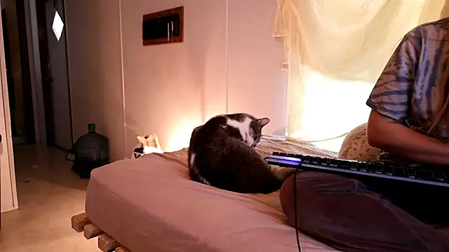 xxpixeyxx online show from 04-21-26, 02:34