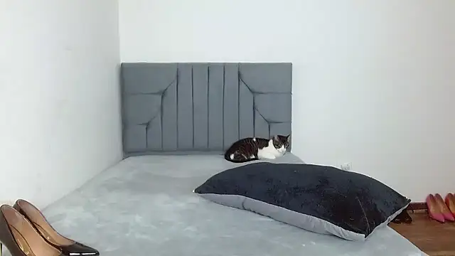 celeste 2023 online show from 01-07-26, 02:36