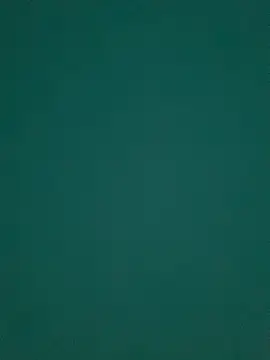 Ruby bear online show from 03-08-25, 08:55