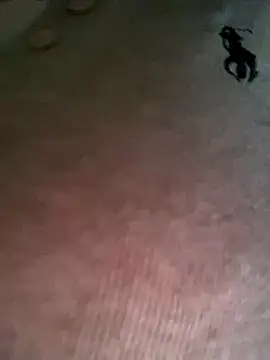 Snapshot of Ruby_bear chatting on 12-19-25, 03:46 Ruby bear online show from 12-19-25, 03:46