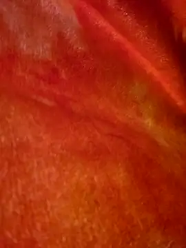 Snapshot of SmokeShow686 chatting on 03-05-25, 01:50 SmokeShow686 online show from 03-05-25, 01:50