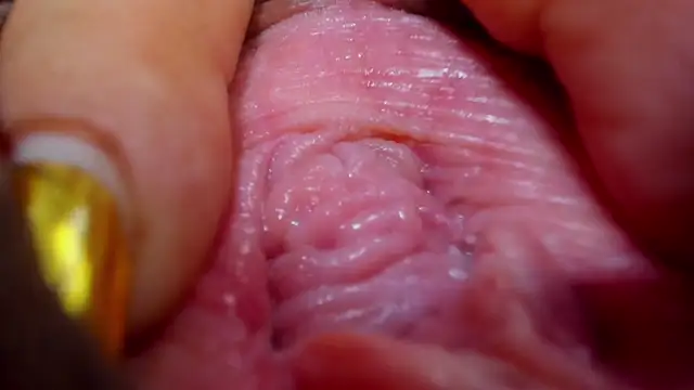 Snapshot of tatiana_big_ass_boobs chatting on 02-26-25, 12:38 tatiana big ass boobs online show from 02-26-25, 12:38