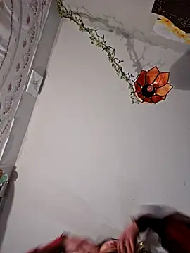 sweetkitty111 online show from 02-24-25, 04:47