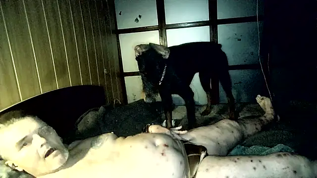 DjiniCD online show from 04-26-26, 05:43