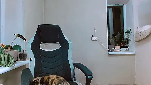 RosaJil online show from 11-01-25, 03:58